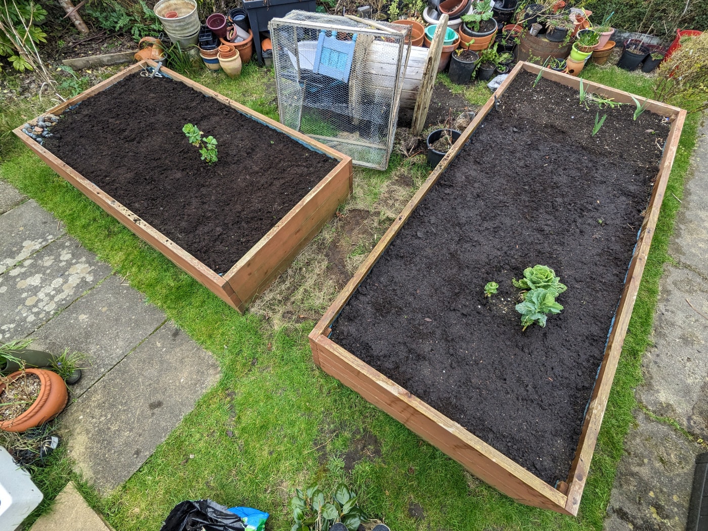 The two big raised beds