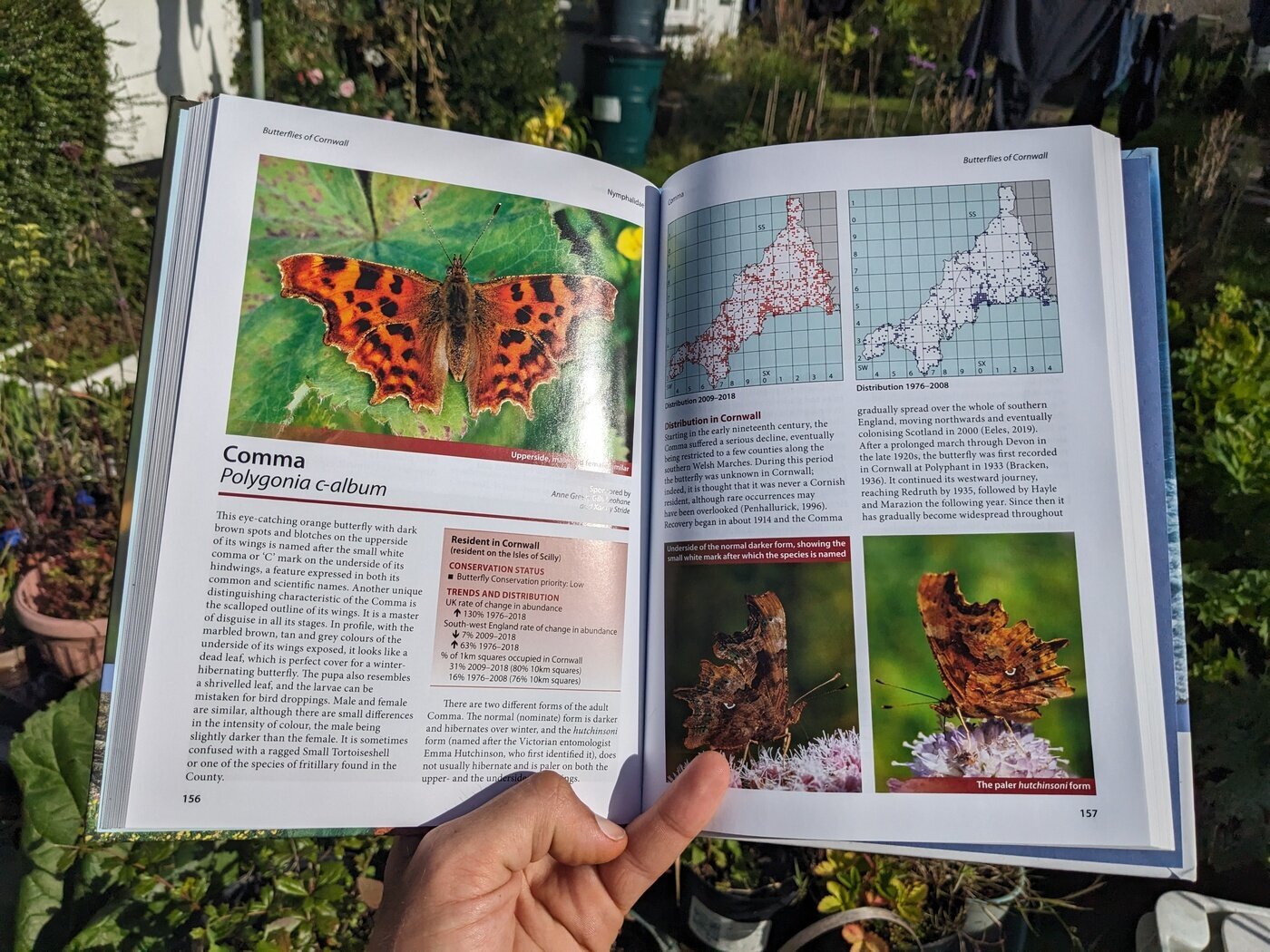 Butterfly of Cornwall book