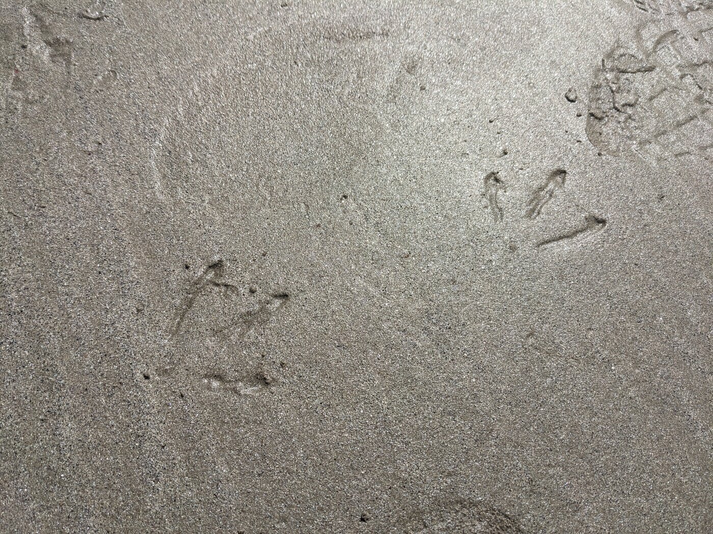 Footprints in the sand