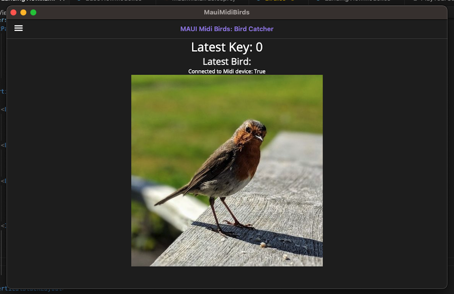Robin image loaded into Midi Birds application